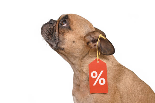 Perro con etiqueta de descuento