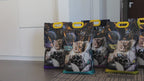 Arena Sanitaria Cat Global Premium Bentonita  Gatos 8kg